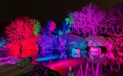 Experience the Rivington Festival of Light 2024 with a Stay at Plaza Hotel Chorley