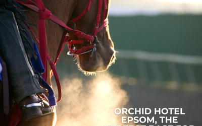 Stay at Orchid Hotel Epsom: Perfect Base for Epsom Racecourse